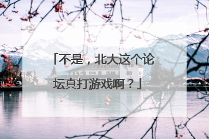 不是，北大这个论坛真打游戏啊？