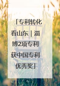 专利转化看山东｜淄博2项专利获中国专利优秀奖
