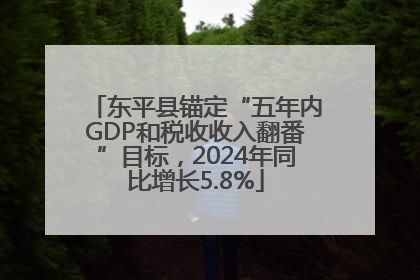 东平县锚定“五年内GDP和税收收入翻番”目标，2024年同比增长5.8%