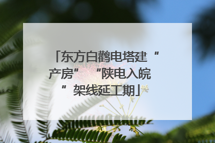 东方白鹳电塔建“产房” “陕电入皖”架线延工期