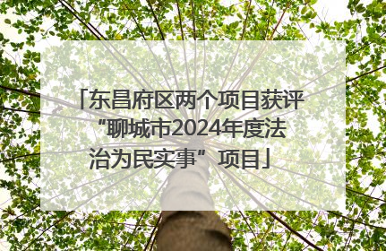东昌府区两个项目获评“聊城市2024年度法治为民实事”项目