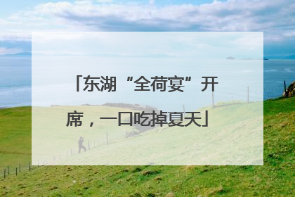 东湖“全荷宴”开席，一口吃掉夏天