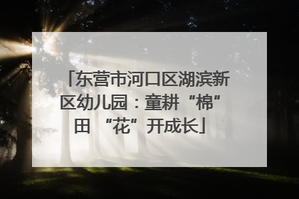 东营市河口区湖滨新区幼儿园：童耕“棉”田 “花”开成长
