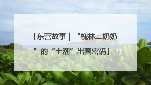 东营故事｜“槐林二奶奶”的“土潮”出圈密码