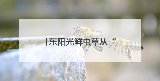 东阳光鲜虫草从“补”到“养”，冬虫夏草在现代养生中的新打开方式