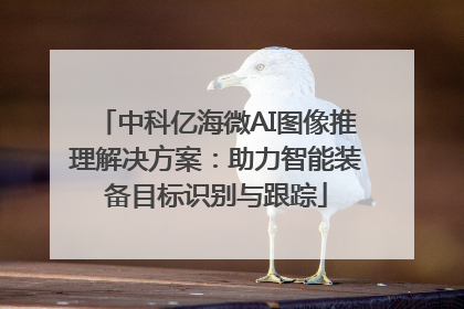 中科亿海微AI图像推理解决方案：助力智能装备目标识别与跟踪