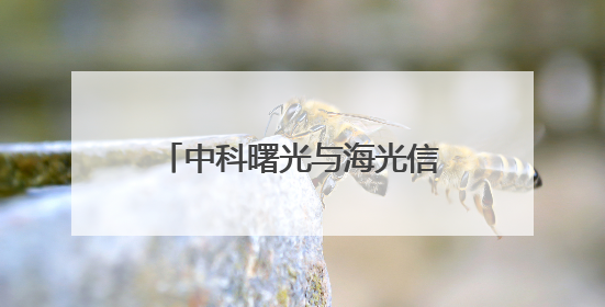 中科曙光与海光信息拟合并：资本与产业的双向奔赴