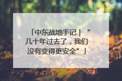 中东战地手记｜“几十年过去了，我们没有变得更安全”