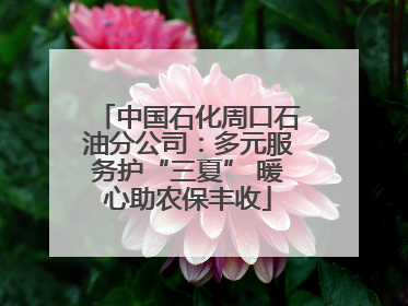 中国石化周口石油分公司：多元服务护“三夏” 暖心助农保丰收