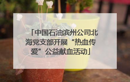 中国石油滨州公司北海党支部开展“热血传爱”公益献血活动