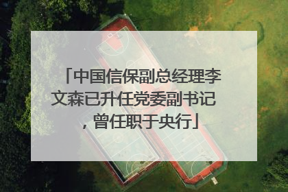 中国信保副总经理李文森已升任党委副书记，曾任职于央行