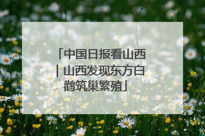 中国日报看山西｜山西发现东方白鹳筑巢繁殖