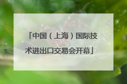 中国（上海）国际技术进出口交易会开幕