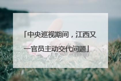 中央巡视期间，江西又一官员主动交代问题