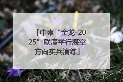 中柬“金龙-2025”联演举行海空方向实兵演练