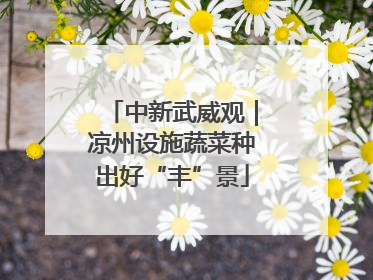 中新武威观｜凉州设施蔬菜种出好“丰”景