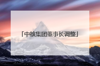 中核集团董事长调整