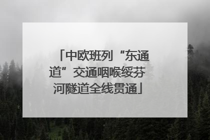 中欧班列“东通道”交通咽喉绥芬河隧道全线贯通