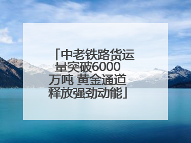 中老铁路货运量突破6000万吨 黄金通道释放强劲动能