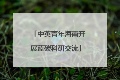 中英青年海南开展蓝碳科研交流
