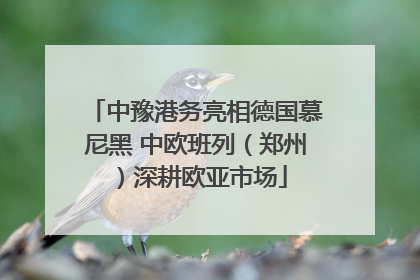 中豫港务亮相德国慕尼黑 中欧班列（郑州）深耕欧亚市场