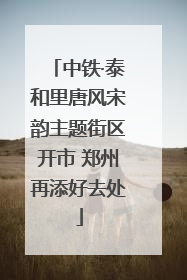 中铁·泰和里唐风宋韵主题街区开市 郑州再添好去处