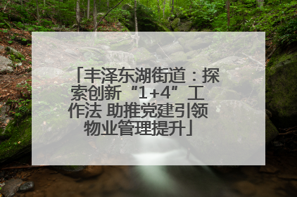 丰泽东湖街道：探索创新“1+4”工作法 助推党建引领物业管理提升