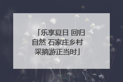 乐享夏日 回归自然 石家庄乡村采摘游正当时