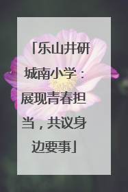 乐山井研城南小学：展现青春担当，共议身边要事