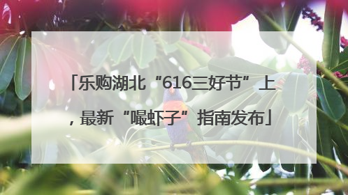 乐购湖北“616三好节”上，最新“嘬虾子”指南发布