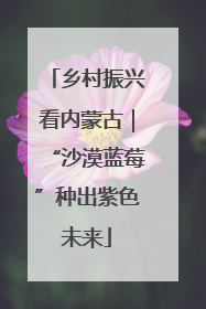 乡村振兴看内蒙古｜“沙漠蓝莓”种出紫色未来