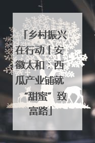 乡村振兴在行动丨安徽太和：西瓜产业铺就“甜蜜”致富路