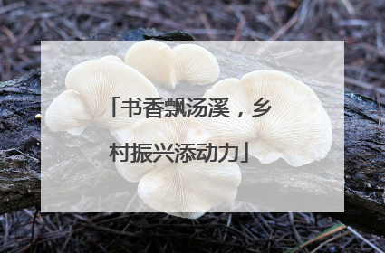 书香飘汤溪，乡村振兴添动力