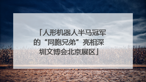 人形机器人半马冠军的“同胞兄弟”亮相深圳文博会北京展区