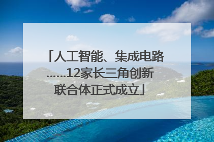 人工智能、集成电路……12家长三角创新联合体正式成立