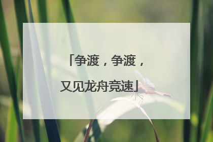 争渡，争渡，又见龙舟竞速