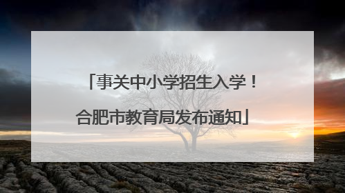 事关中小学招生入学！合肥市教育局发布通知