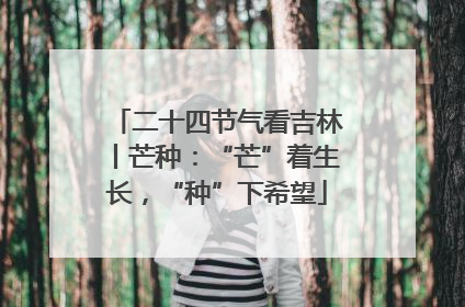 二十四节气看吉林丨芒种：“芒”着生长，“种”下希望