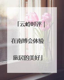 云岭时评｜在南博会体验旅居的美好