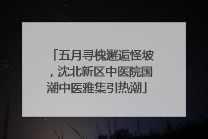 五月寻槐邂逅怪坡，沈北新区中医院国潮中医雅集引热潮