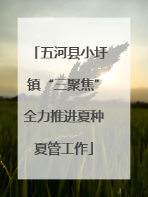 五河县小圩镇“三聚焦”全力推进夏种夏管工作