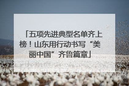 五项先进典型名单齐上榜！山东用行动书写“美丽中国”齐鲁篇章