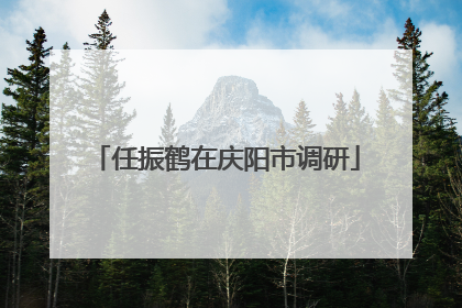 任振鹤在庆阳市调研