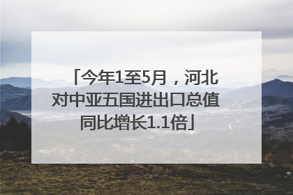 今年1至5月，河北对中亚五国进出口总值同比增长1.1倍