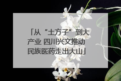 从“土方子”到大产业 四川兴文推动民族医药走出大山