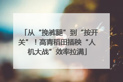 从“挽裤腿”到“按开关”！高青稻田插秧“人机大战”效率拉满
