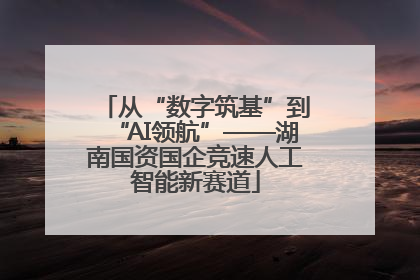 从“数字筑基”到“AI领航”——湖南国资国企竞速人工智能新赛道