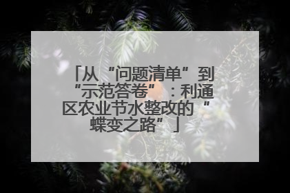从“问题清单”到“示范答卷”：利通区农业节水整改的“蝶变之路”