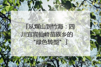 从煤山到竹海：四川宜宾仙峰苗族乡的“绿色转型”