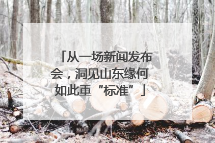 从一场新闻发布会，洞见山东缘何如此重“标准”